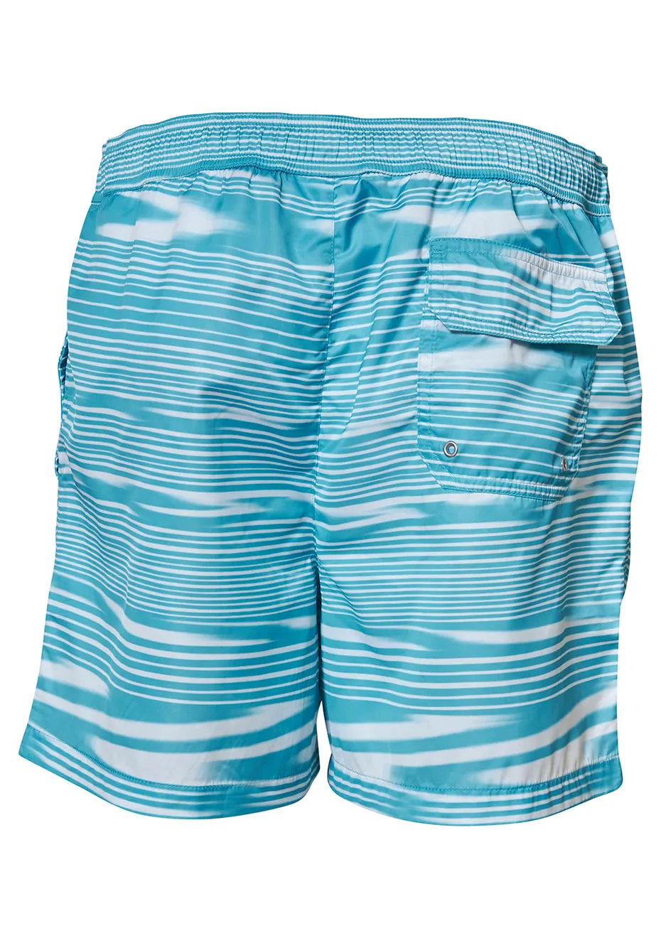 Blue Striped Swim Shorts