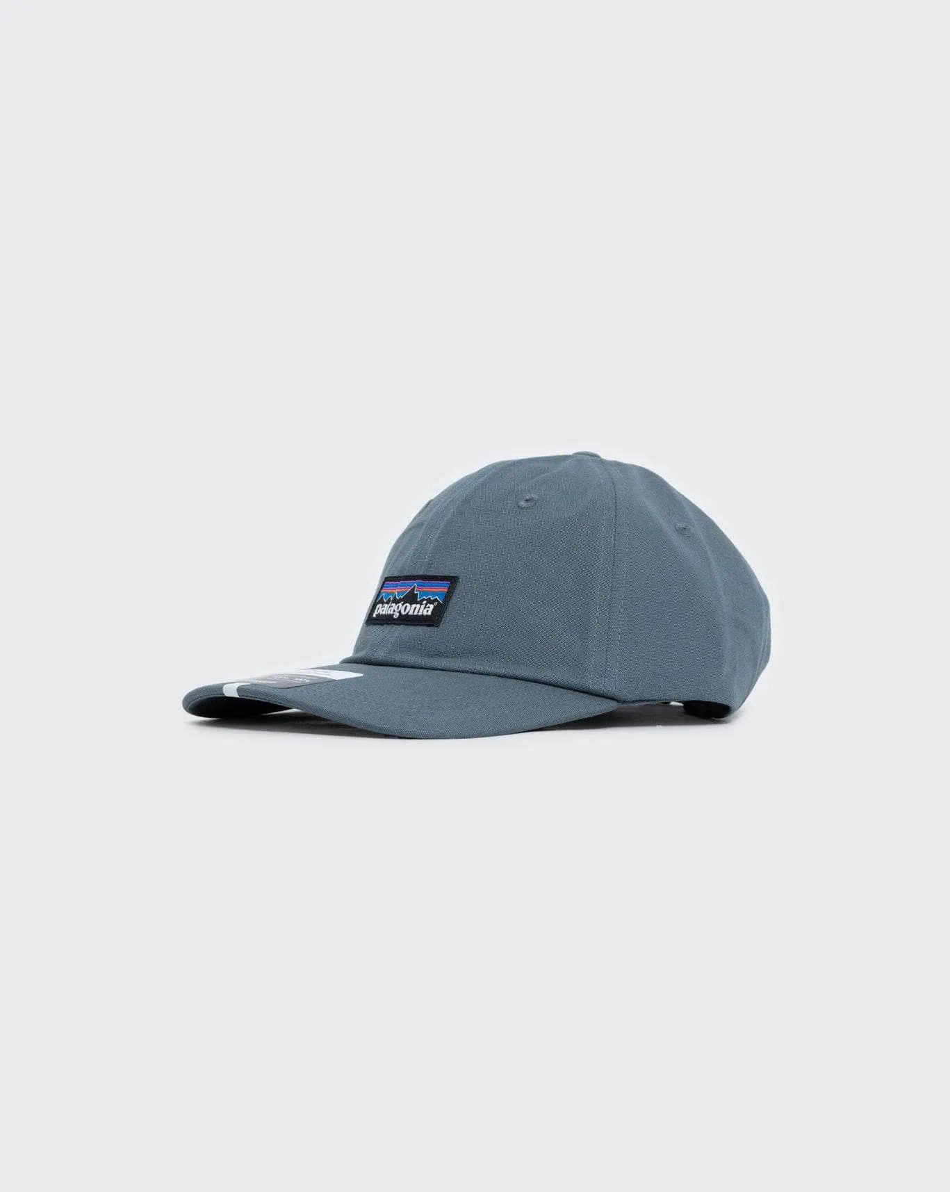 Patagonia P-6 Label Trad Cap