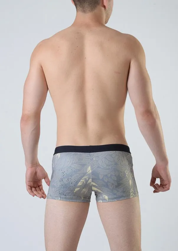 Swimming  boxers 1806b1